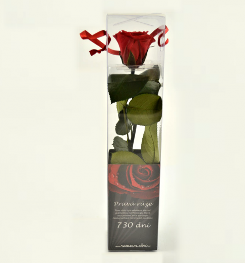 Stabilizovaná růže mini Barva: Red