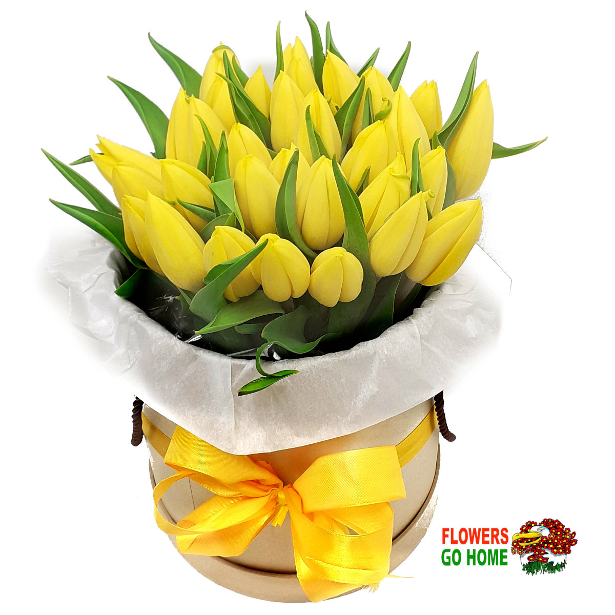 Žluté tulipány Velikost: 51 ks