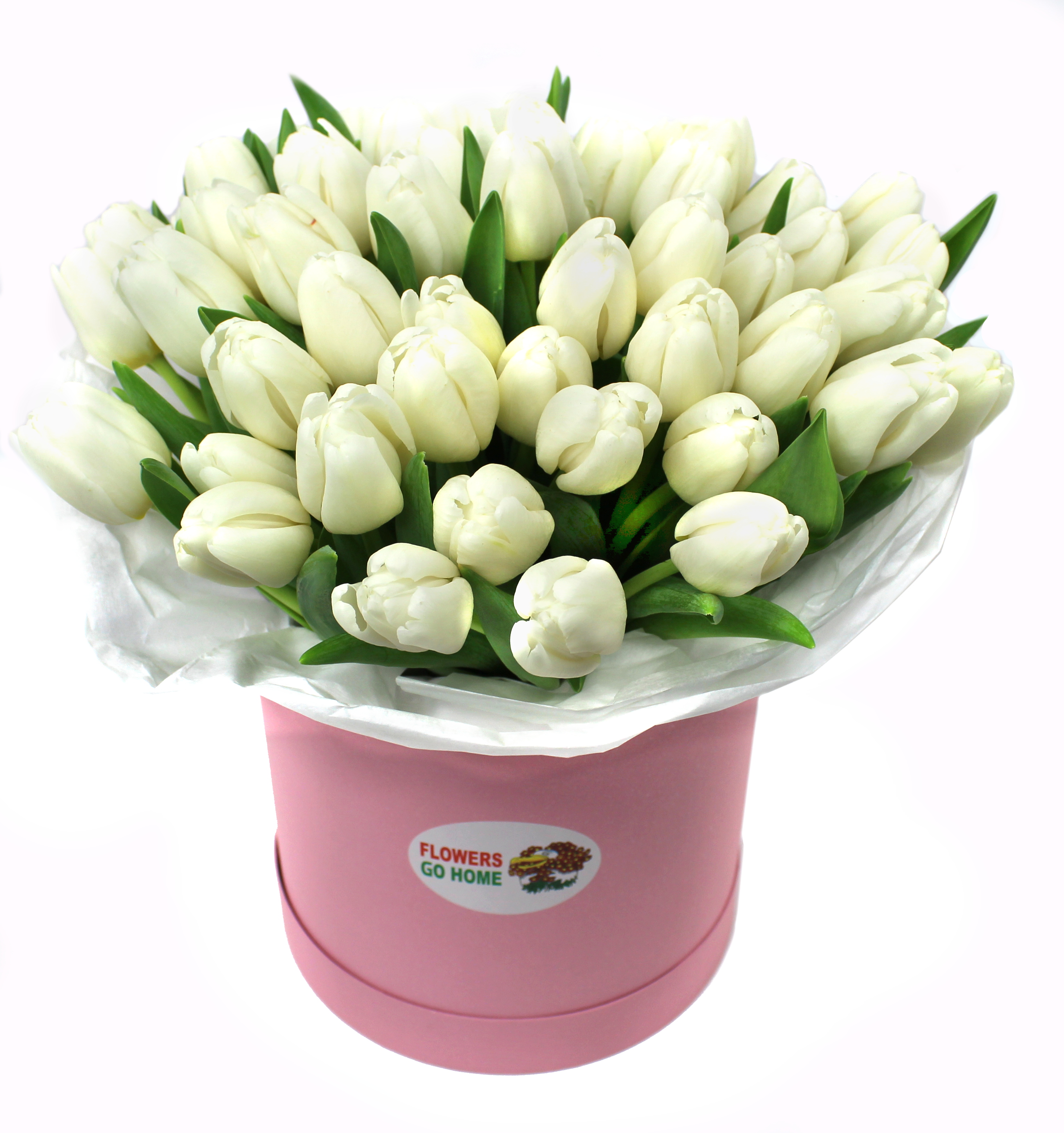 Bílé tulipány Velikost: 31 ks