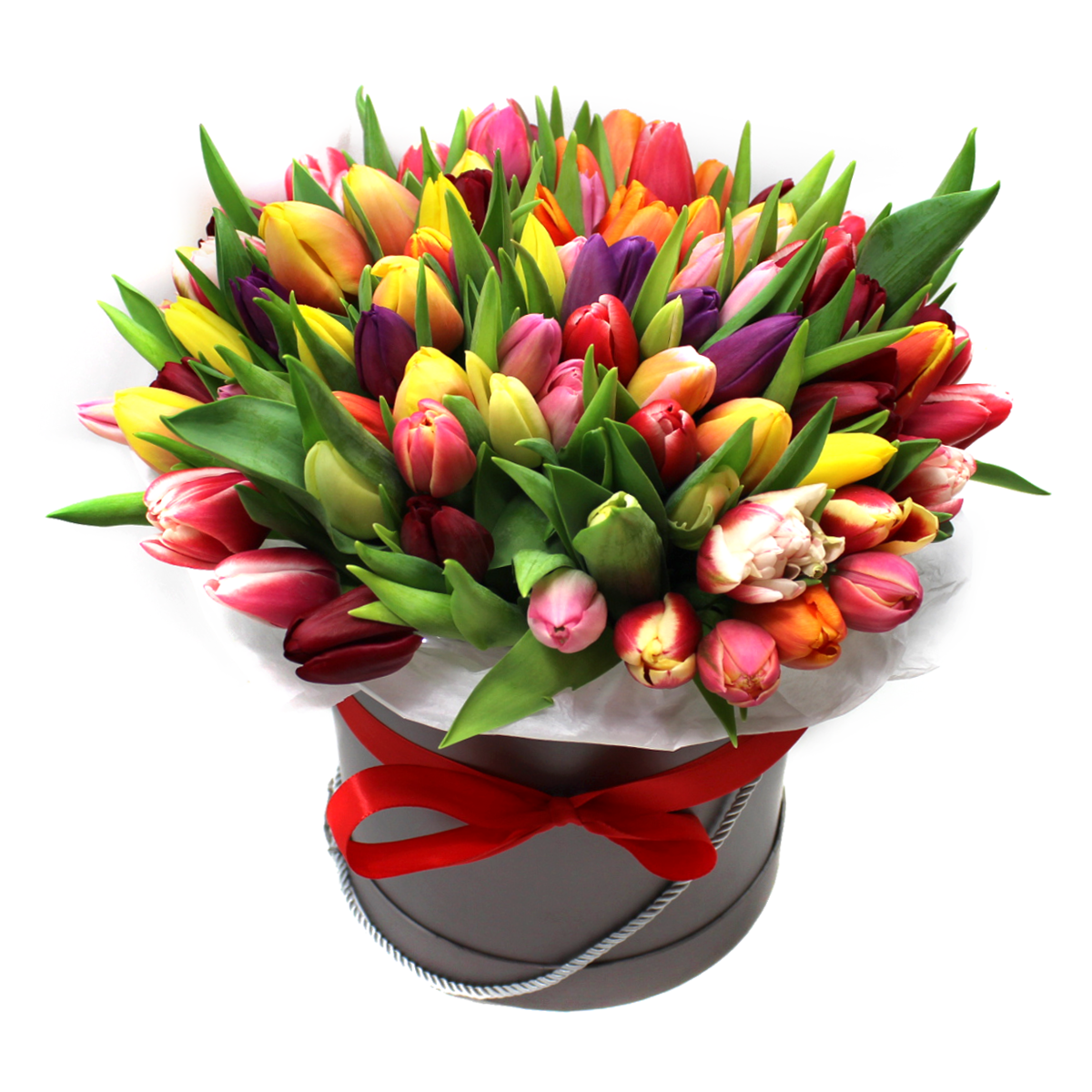 Barevné tulipány Velikost: 31 ks