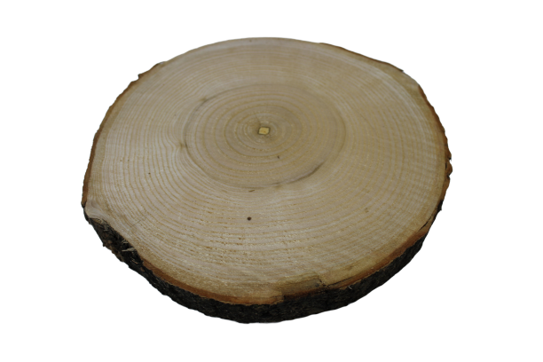 Dřevěný koláč z kulatiny Průměr: 35 cm