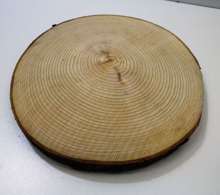 Dřevěný koláč z kulatiny Průměr: 20 cm