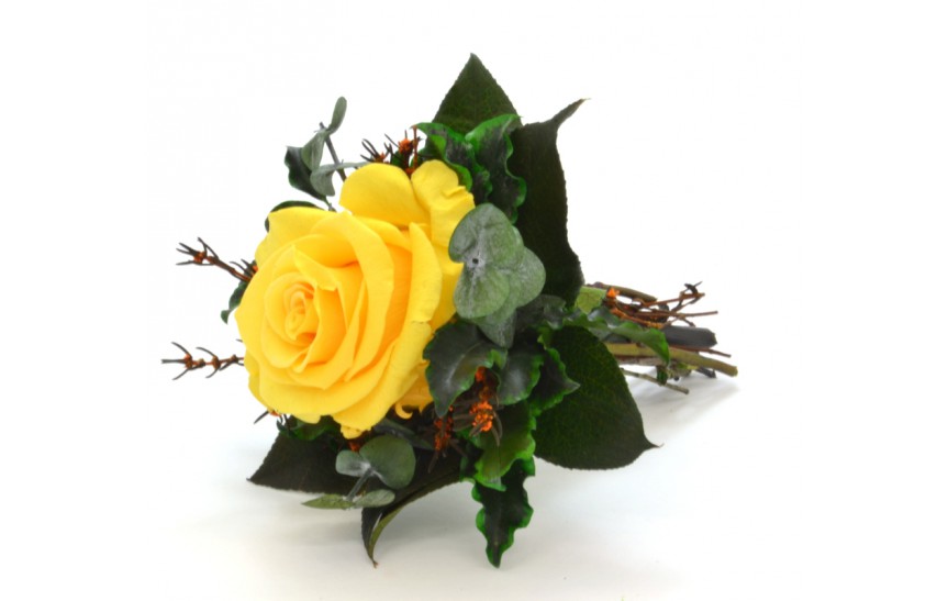 Stabilizovaná růže Lucy Barva: Yellow