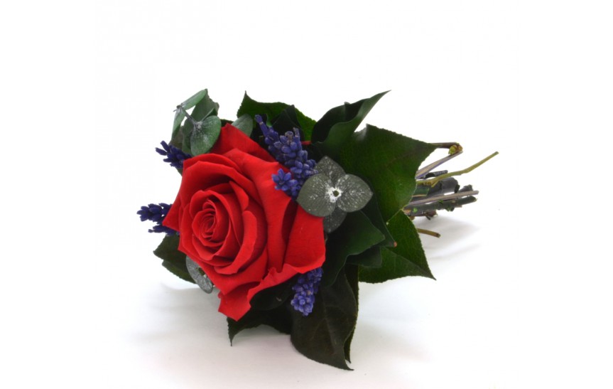 Stabilizovaná růže Lucy Barva: ORANŽOVÁ