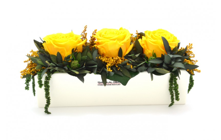 Stabilizovaná růže Elen Barva: Yellow
