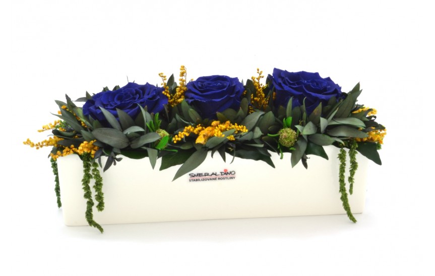 Stabilizovaná růže Elen Barva: Royale blue