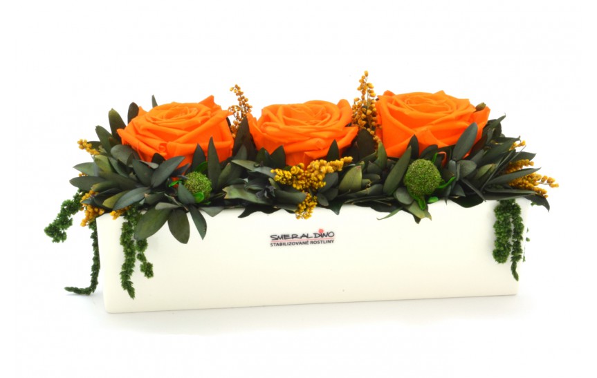 Stabilizovaná růže Elen Barva: Orange