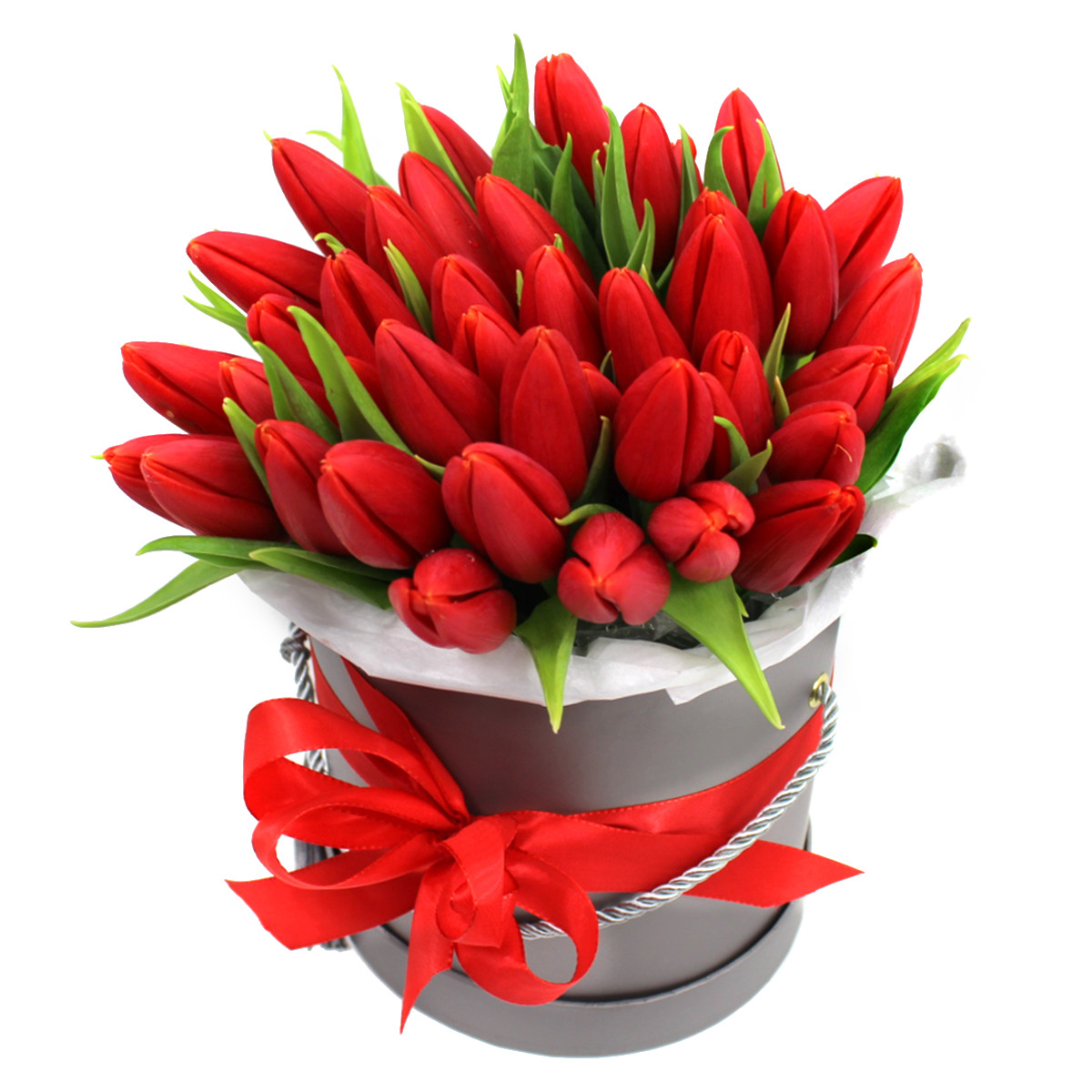 Červené tulipány Velikost: 51 ks