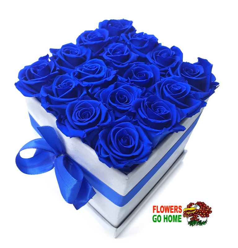 Stabilizovaná růže v boxu 16 ks Stabilizace zaručuje životnost min. 2 roky Barva: Royale blue