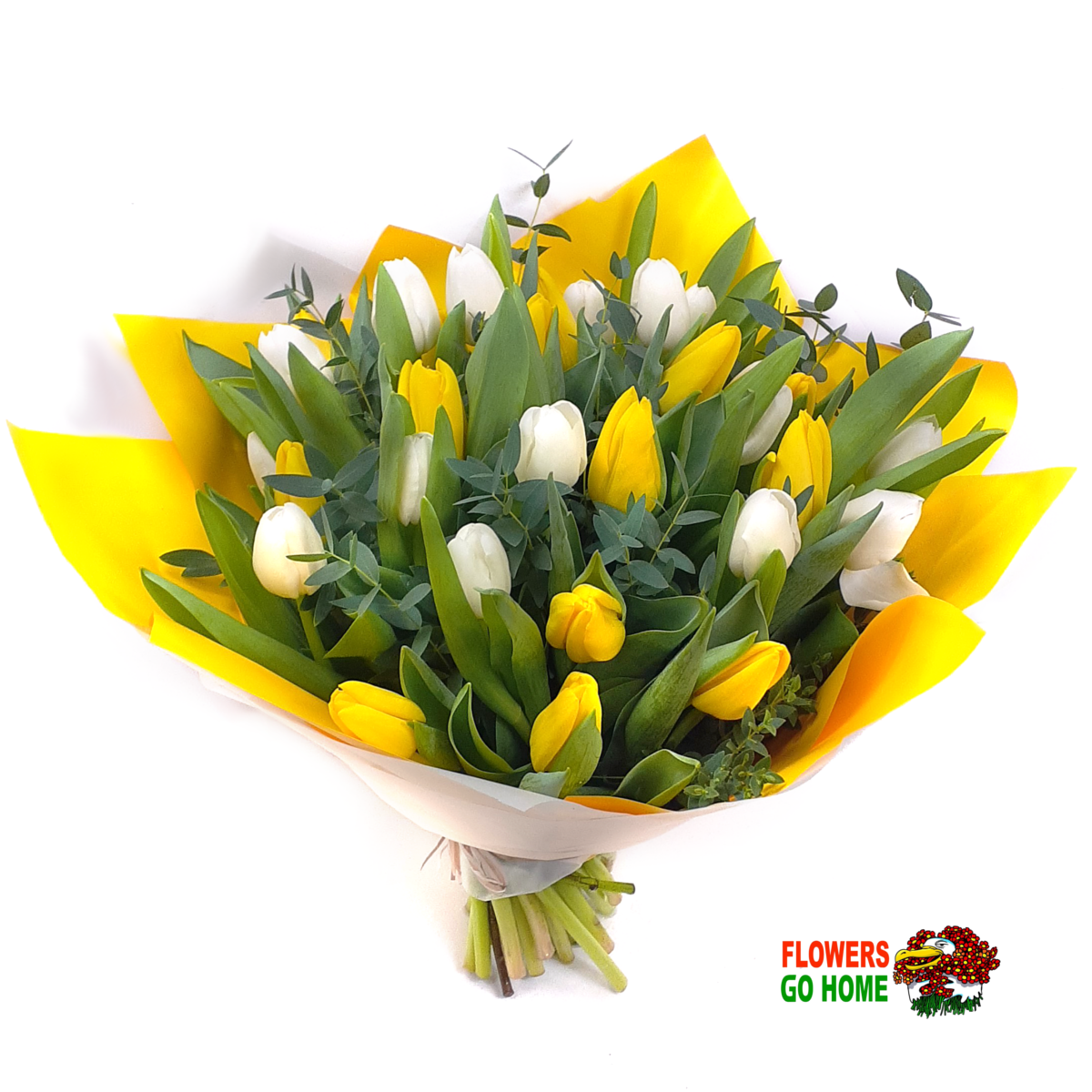 Bílé tulipány Velikost: 21 ks