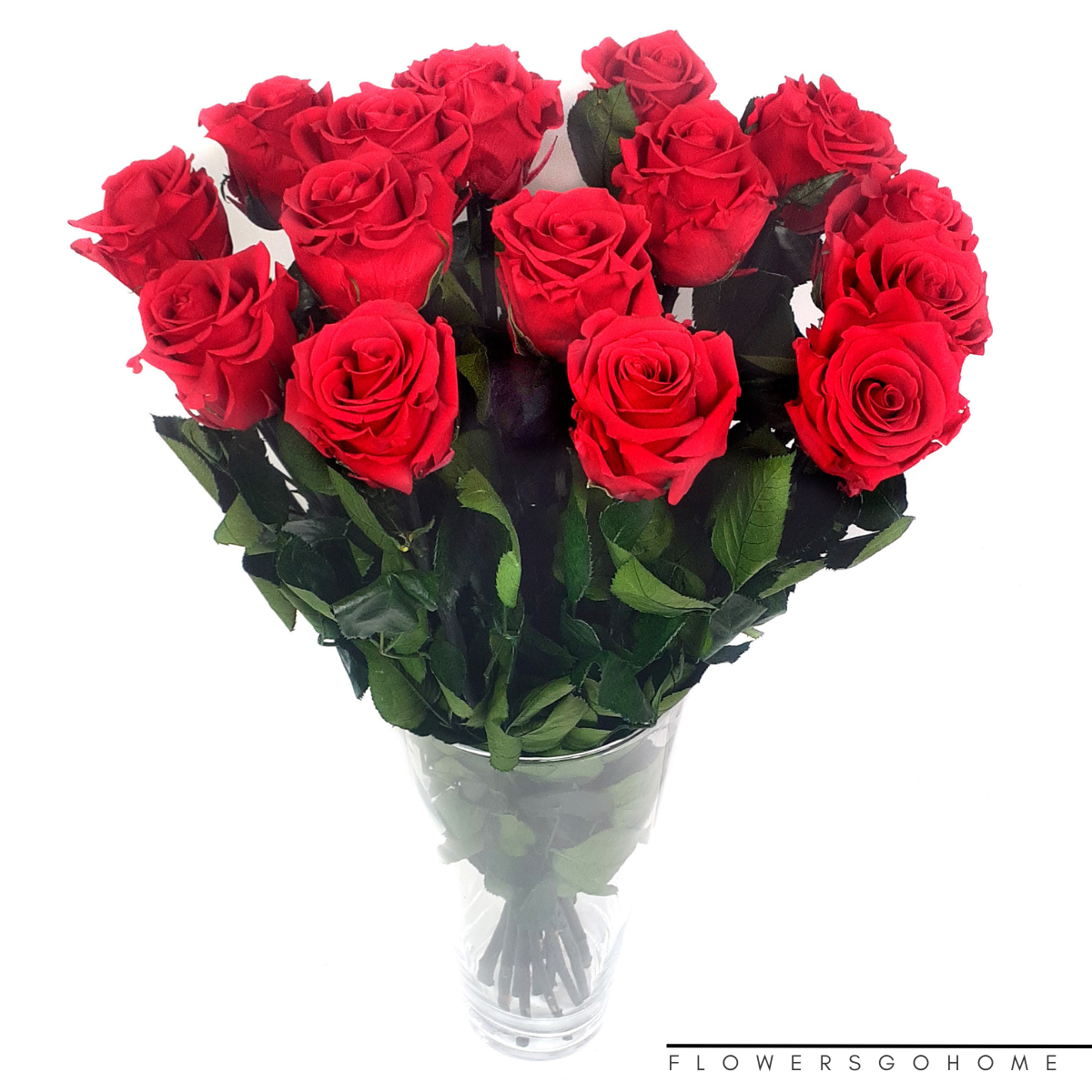 Stabilizovaná růže kytice Velikost: 15 ks
