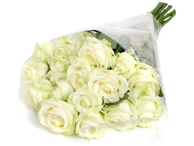 Bílé růže Velikost: 7 - 29 ks (cena za 1 ks)