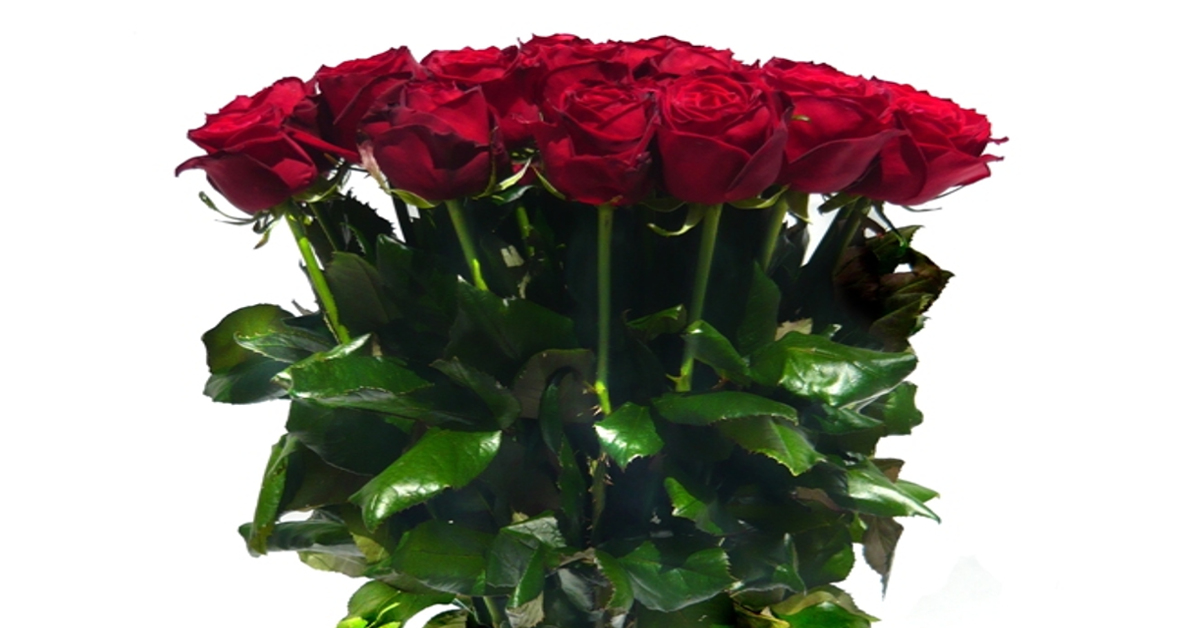 Červené růže Velikost: VLASTNÍ POČET 7 - 29ks