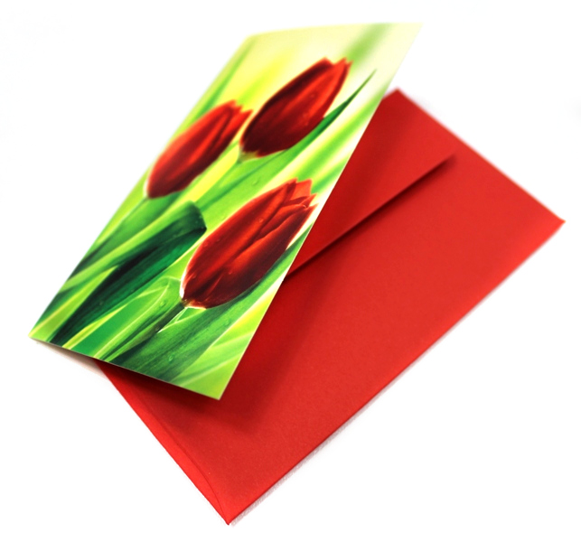 Rozvoz květin Motiv: Tulipány červené