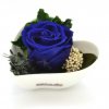 tmavě modrá stabilizovaná růže