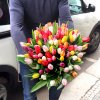 100 tulipánů