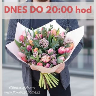 ⏰ POZOR! Dnes máme otevřeno až do 20:00! 🦸‍♂️ Podívejte se na tuhle krásku! 😍 Přesně takové nádherné pugéty u nás dnes...