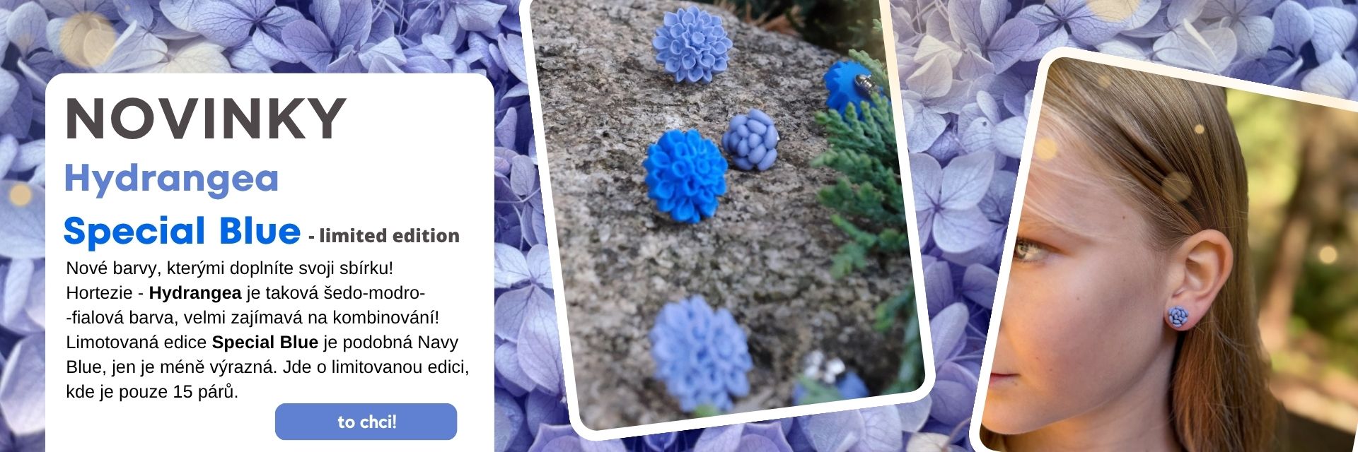 Hydrangea