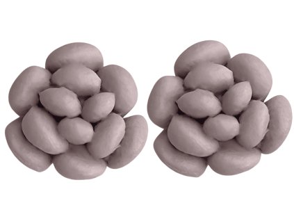 nausnice no2 cappuccino optimized