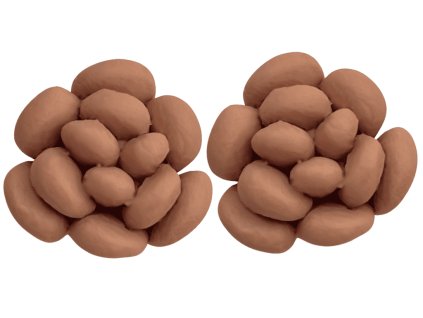 nausnice flowerski no2 flatwhite optimized