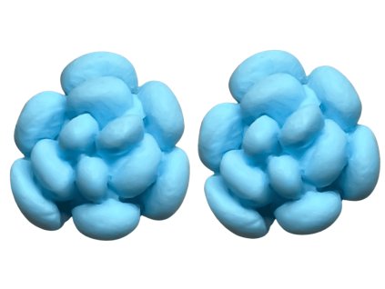 no2 lightblue nausnice ceske modre flowerski susice optimized