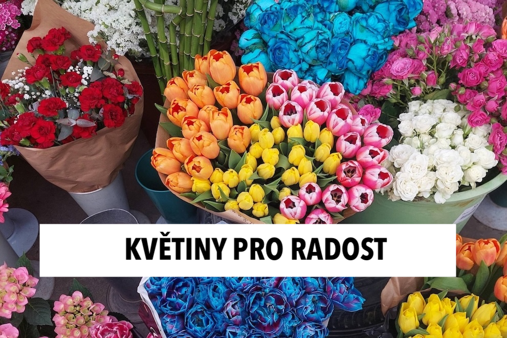 Řezané květiny