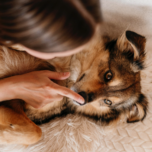 Čo sú tenzidy a prečo na nich v kozmetike naozaj záleží