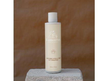 generated image (26)