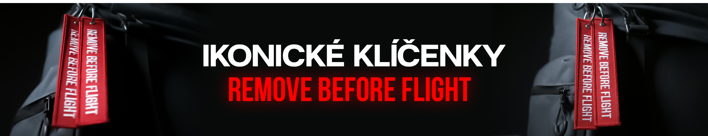 REMOVE BEFORE FLIGHT