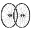 DT F 1900 Classic 29 Boost 110x15mm / 148x12mm
