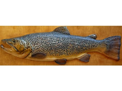 Pstruh potoční - 94 cm