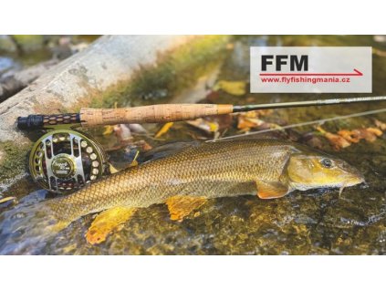 Snímek obrazovky 2025 06 11 122012