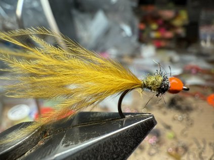 Mikro tmavá olivka s oranžovou hlavou!