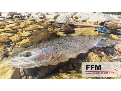 Rainbow trout changing mat