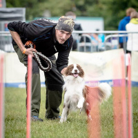 ref-flyball-klubu-lavina_small