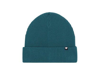 251 freedom beanie stargazer