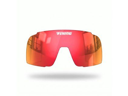 332 1 polarized allred
