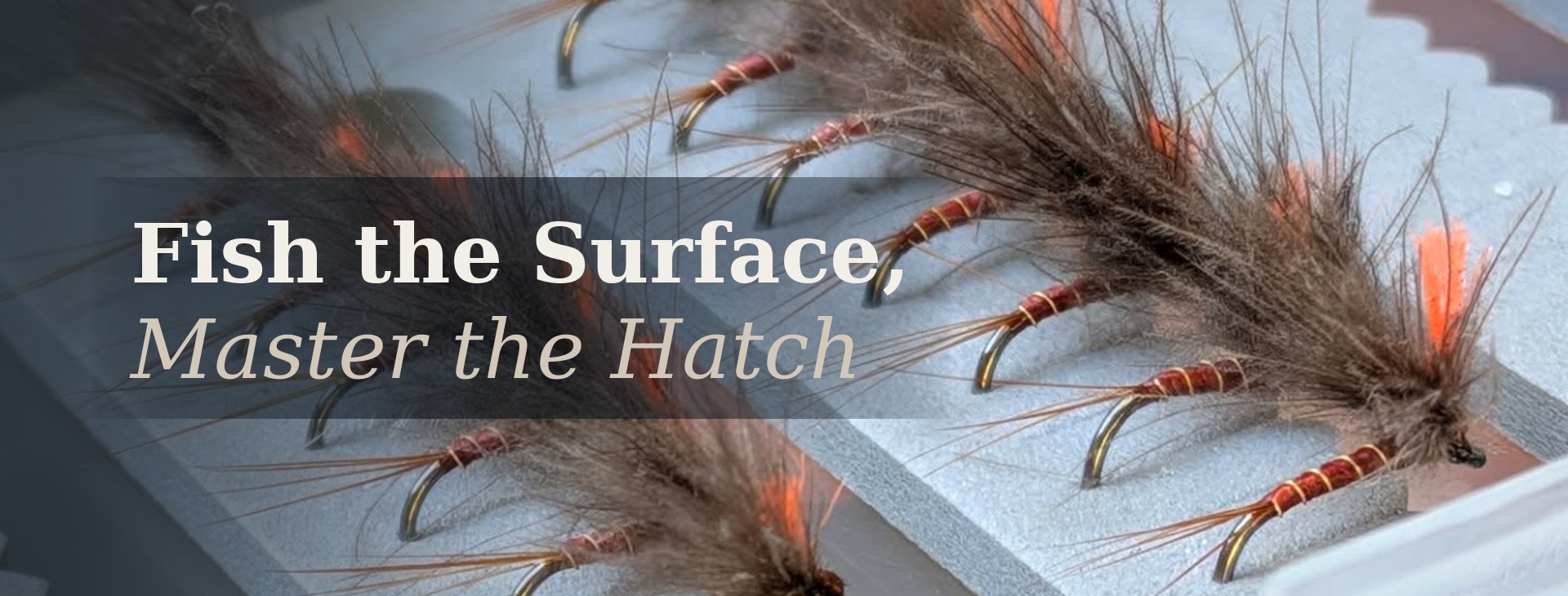 dry fly banner