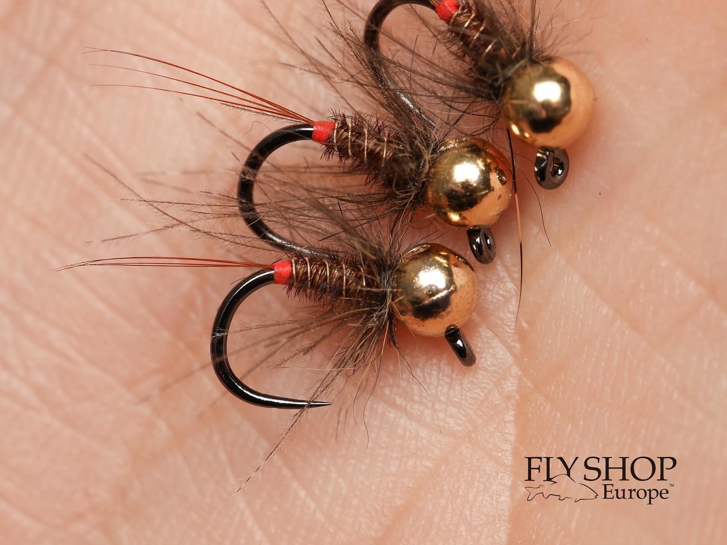 499787208_18474115858068536_3979996672827374506_n