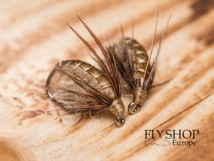 beige caddis pupa nymph