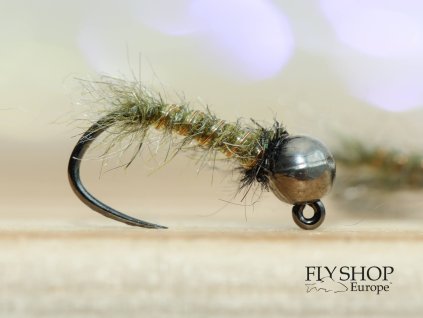 FSE573a (1)