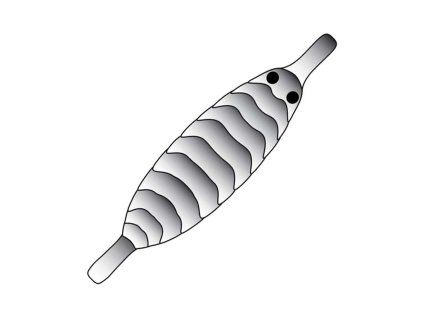 Pro Sportfisher Gammarus Shell Back XS black