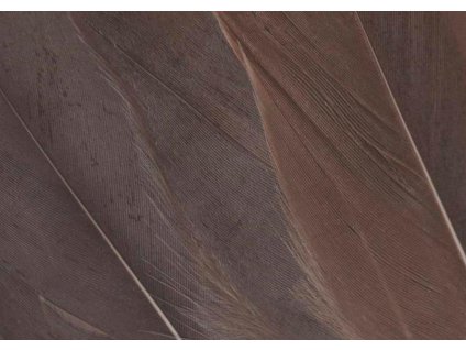 Veniard Grey Goose Herl Natural