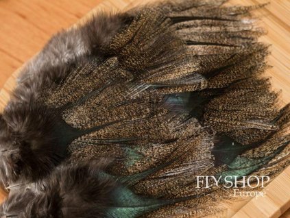 FS Europe Coq De Leon CDL Pardo Premium Feathers (12 Pack)