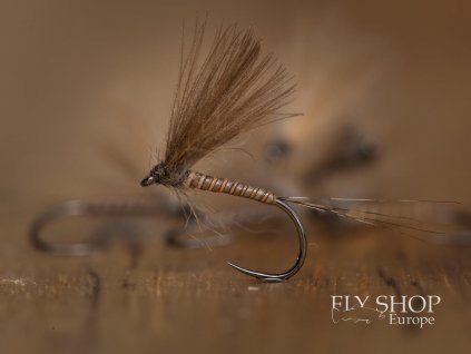 CDC Dun Special - Elk Body