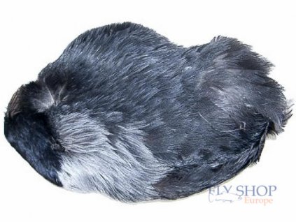 Veniard Jackdaw Whole Grey Scalp