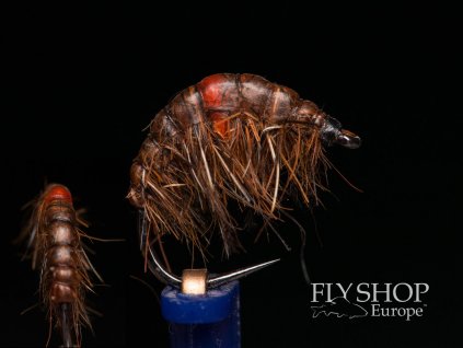 Krivák Brown Infected Gammarus