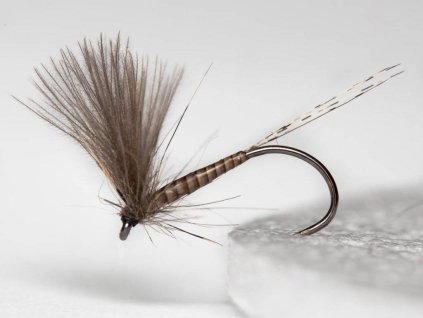 blue winged natural dry fly dun fse042