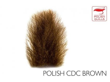 Quill & Fly Selected CDC Feathers