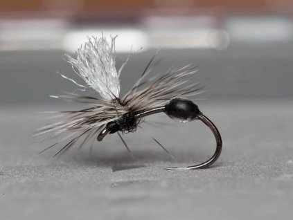 black parachute ant terrestrial fly fse098